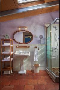 列雷纳Casa rural La Rosa de Llerena的一间带水槽和镜子的浴室