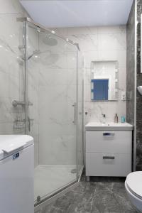 弗罗茨瓦夫Aparta Lotnisko的带淋浴、盥洗盆和卫生间的浴室