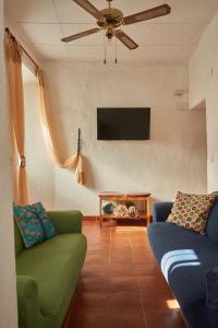 列雷纳Casa rural La Rosa de Llerena的客厅配有2张绿色沙发和1台平面电视