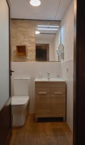 列雷纳Casa rural La Rosa de Llerena的一间带卫生间、水槽和镜子的浴室