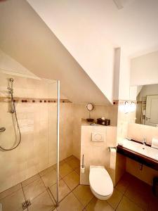 新维德Hotel zur Römerbrücke的带淋浴、卫生间和盥洗盆的浴室
