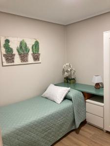 Rincón de SotoMi Rincón Favorito VT-LR1594的一间卧室配有一张床和一张带仙人掌的书桌