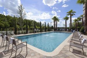 奥兰多Courtyard by Marriott Orlando South/Grande Lakes Area的一个带椅子的游泳池,棕榈树