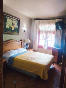 马塔莫罗斯HOTEL COLONIAL MATAMOROS的一间卧室设有一张床和一个窗口