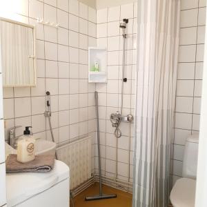 上维耶斯卡Tilava kolmio keskustassa的带淋浴和盥洗盆的浴室