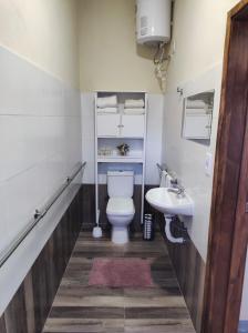 特立尼达岛Casita de Piedra 10的一间带卫生间和水槽的浴室
