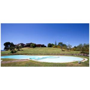 Monti di Licciana NardiAppartamento La Mimosa的田野中间的大型游泳池