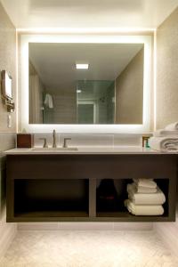 巴吞鲁日Crowne Plaza Executive Center Baton Rouge, an IHG Hotel的一间带水槽和大镜子的浴室