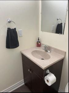 米西索加Cozy & Spacious Suite with Private Bathroom near Toronto Airport !的一间带水槽和镜子的浴室