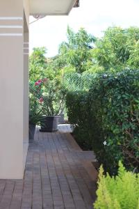 简蒂埃尔Gamay Souterrain Apartment, near beach in Curaçao的一座房子里种有灌木和植物的庭院