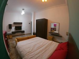赫尔格达Dive Hostel Hurghada的一间卧室配有一张大床和电视