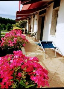 彼得拉桑塔Appartamento ORNELLO的庭院里种有粉红色的鲜花,配有桌椅