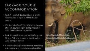 北冲At Home Hostel, Pak Chong的一张传单,上面有一张大象的照片