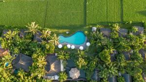 乌布Arya Villas Ubud的享有带游泳池的度假村的空中景致