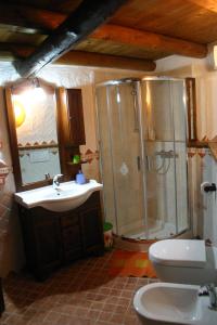 滕诺瓦萨约公寓的带淋浴、卫生间和盥洗盆的浴室