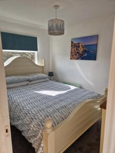 达特茅斯Caldon Holiday Chalet sleeps 4 in Dartmouth WIFI Electric inc Pet friendly的一间卧室设有一张床、一个窗户和一个吊灯。