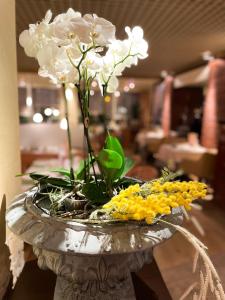 奥格斯堡城市东部酒店的花瓶,花朵白色,花朵黄色