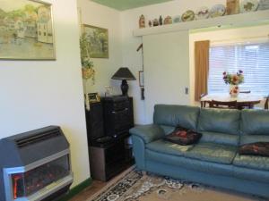 卡迪夫SUPER SINGLE ROOM的带沙发和壁炉的客厅