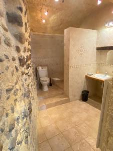 VinsobresLa Fontaine de Vinsobres的一间带卫生间和水槽的浴室