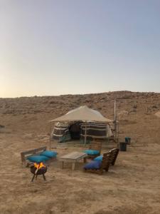 米茨佩·拉蒙Skyline eco-camp的沙漠中的一个帐篷