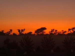 萨利波图尔Keur M et M的橘色的日落,背后有树木