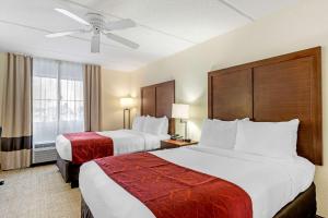 基西米Comfort Inn Kissimmee-Lake Buena Vista South的酒店客房设有两张床和窗户。