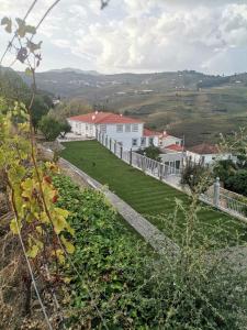 圣玛尔塔迪佩纳吉昂Quinta de Travassinhos- Douro Valley的一座白色的山丘房子,有绿色的庭院