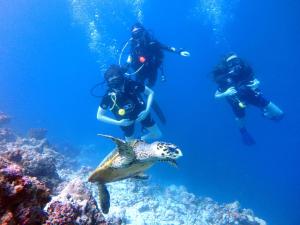 鲁阿环礁Furaveri Maldives的三个在海洋里看着鱼的人