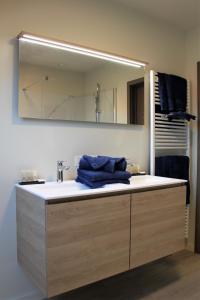 弗尔内Bibi's Boerderij的一间带水槽和镜子的浴室