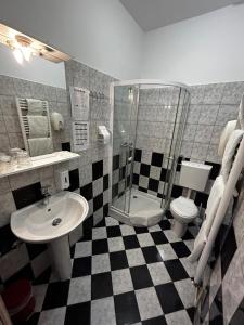 斯拉沃尼亚布罗德布罗德摩托俱乐部宾馆的带淋浴、盥洗盆和卫生间的浴室