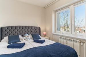 科瓦雷APARTAMENT DWUPOZIOMOWY ZACHÓD SŁOŃCA - Kowary koło Karpacza的一间卧室配有一张带蓝色枕头的大床