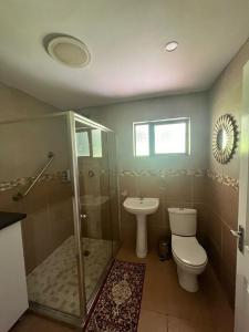 彼得马里茨堡Forest View Cottage的浴室配有卫生间、淋浴和盥洗盆。