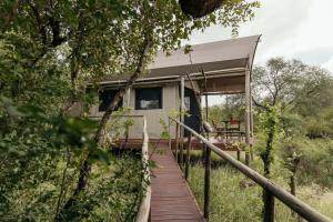 巴卢莱自然保护区Isambane Camp的通往房屋的木道
