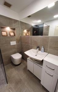 杜塞尔多夫3 Zimmer Wohnung - Keine Party Wohnung !!!的一间带水槽和卫生间的浴室