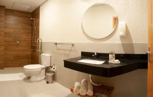 亚松森VIVARIUM APART HOTEL的一间带水槽、卫生间和镜子的浴室