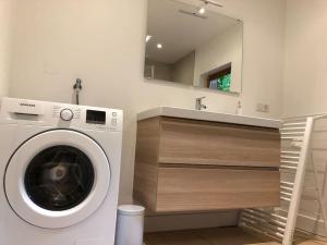 La Mouette Rose - a zen guest-house in Lauterbourg的一间带盥洗盆的浴室内的洗衣机