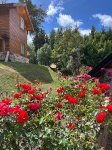 拉安戈斯图拉镇Portal del Manzano的一大堆红玫瑰在房子前面