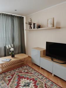 RaunaRauna Apartment NR 8的客厅配有平面电视和沙发。