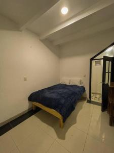 多洛雷斯-伊达尔戈La Casa de Colores.的一间卧室配有一张带蓝色毯子的床