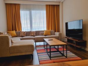 伊斯坦布尔Otto Residences City Center 216的带沙发和电视的客厅