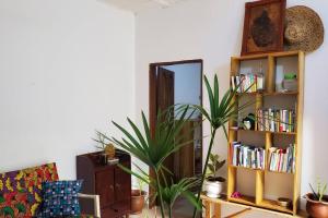 OuidahMaison fleurie Ouidah的一个带书架和植物的客厅
