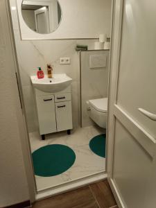 劳芬堡Apartment Malti的一间带水槽和卫生间的小浴室