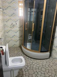 IlesaS&Y Apartment的带淋浴和卫生间的浴室