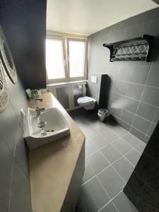 西泰尔斯海灵布伦酒店的一间带水槽和卫生间的浴室