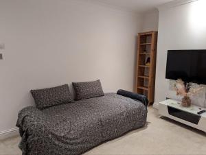 伦敦Fully-equipped flat in the city of London的带沙发和平面电视的客厅