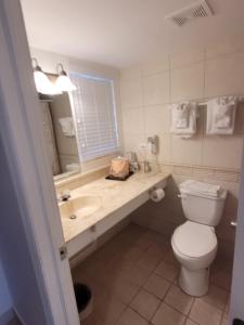 格雷斯湾西博恩海滩酒店 的一间带卫生间、水槽和镜子的浴室