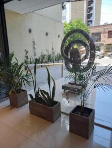 圣米格尔·德·图库玛Jade Barrio Sur A Estrenar by Citrino Aparts的植物间的金属雕塑