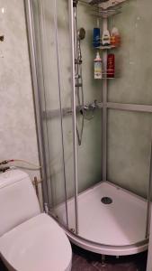 希尔科内斯Kirkenes Lodge的带淋浴和卫生间的浴室
