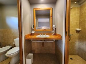 埃尔卡拉法特Del Glaciar Libertador Hotel的一间带水槽、卫生间和镜子的浴室