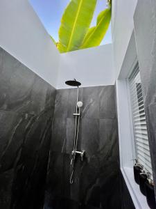 迪古拉Seaside Dhigurah的一间位于客房角落的带淋浴的浴室